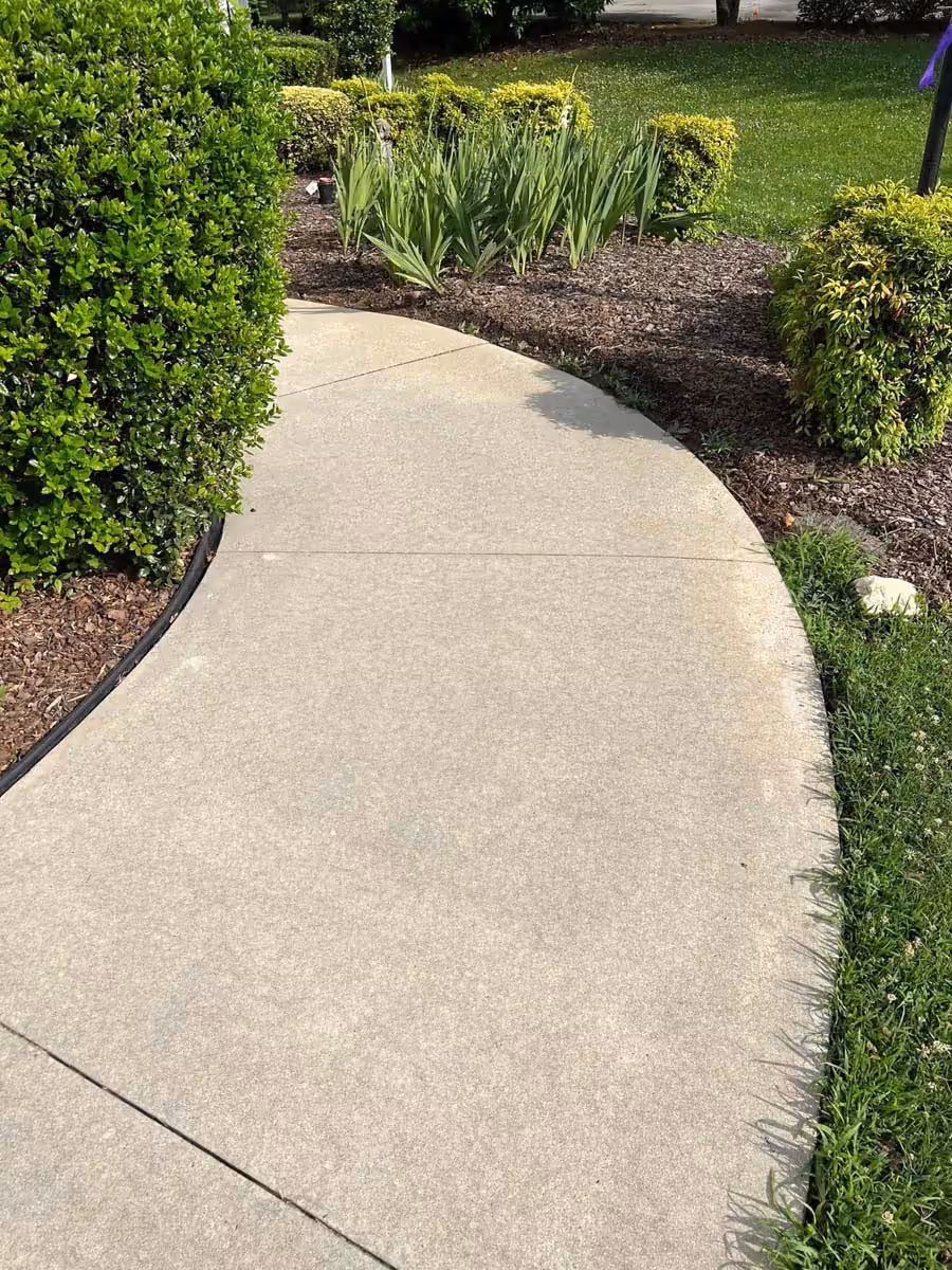 Curved concrete sidewalk bordered by green lawn and bushes with mulch beds in a landscaped garden.