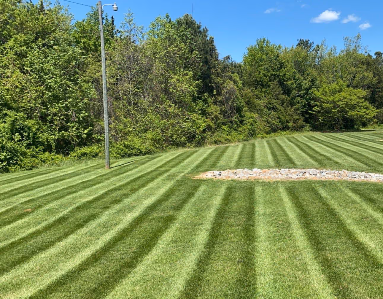 Lawn with neatly mowed striped grass, a tall utility pole, and a patch of rocks bordered by trees under a clear blue sky.