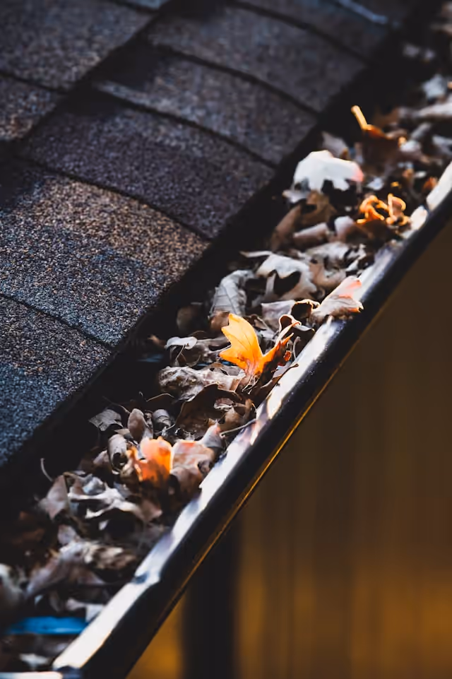 Close-up of a house gutter filled with dry leaves under roof shingles.