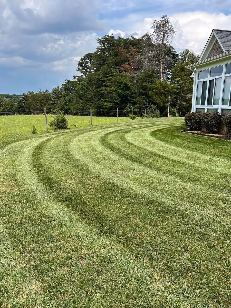 Curved striped patterns on freshly mowed green lawn beside a house with large windows and bushes under a partly cloudy sky.